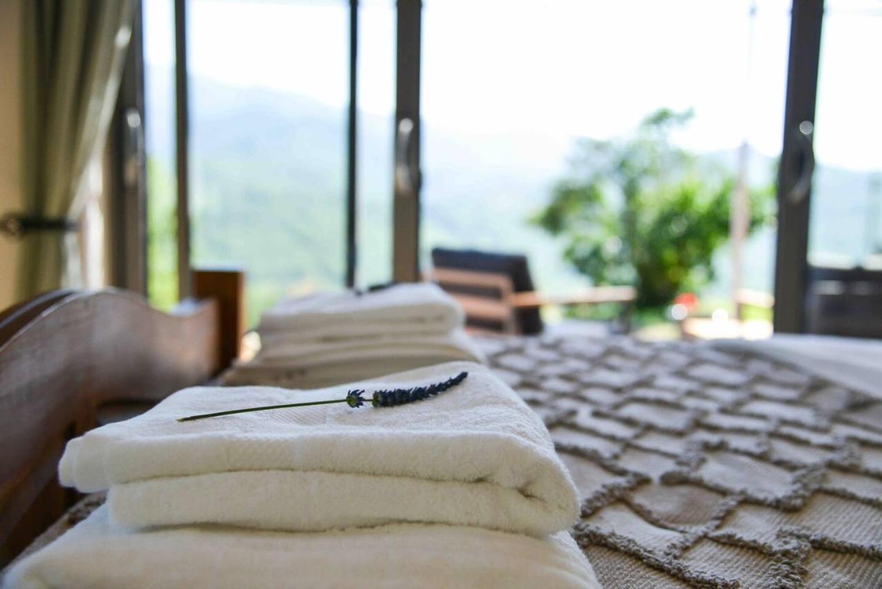 Villa Mountain Hikers Luxury Retreat In Roquefixade Exterior foto